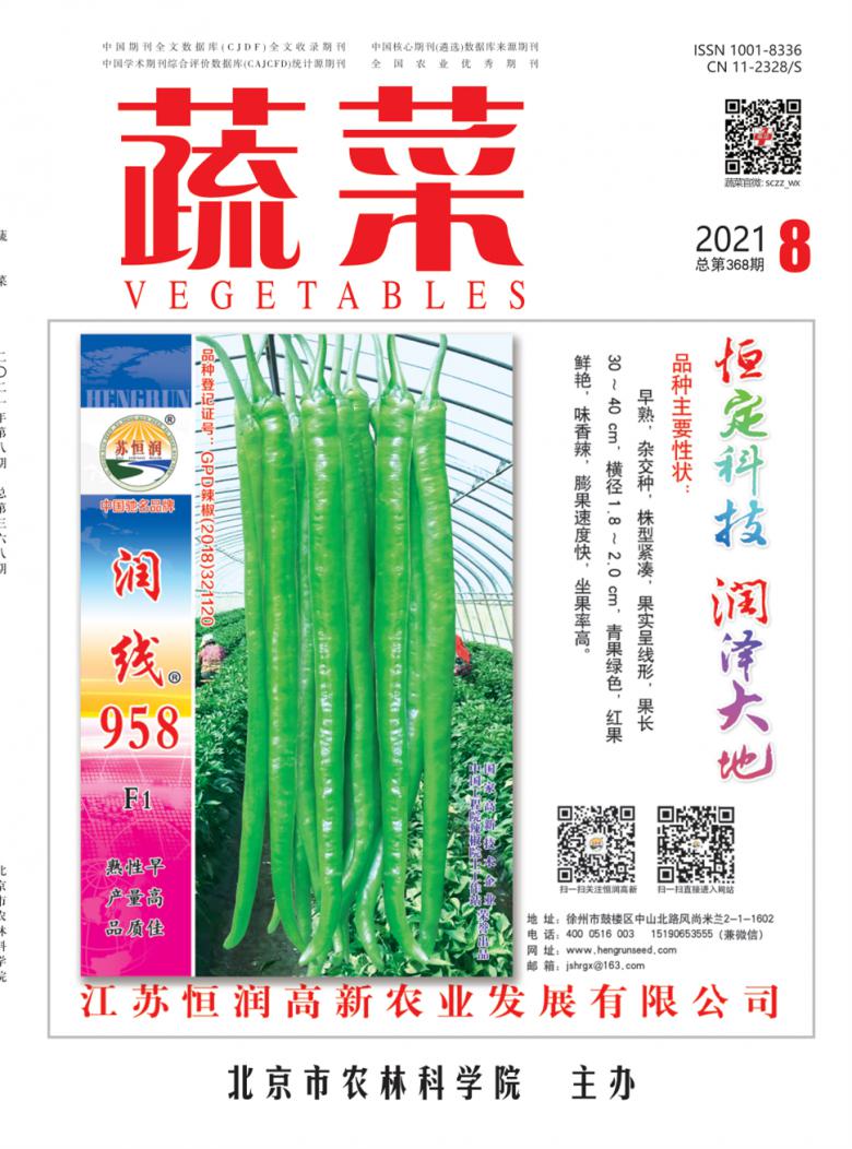 蔬菜杂志