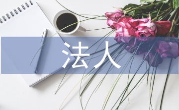 法人年度报告书