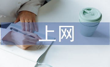 上网情况调查报告