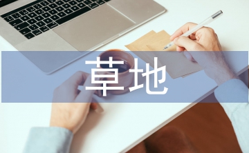 草地保护和饲草联动发展模式研究