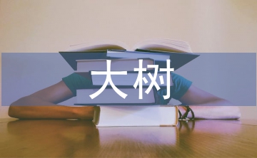 野生香樟大树的移栽与养护