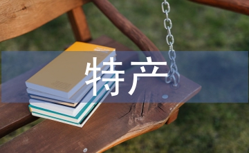 电子商务特产销售系统技术分析