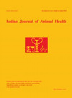 Indian Journal Of Animal Research