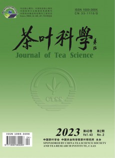 茶叶科学杂志