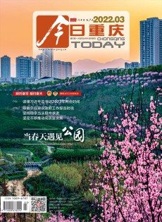 今日重庆杂志