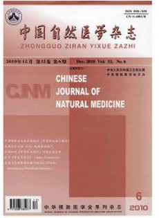中国自然医学杂志
