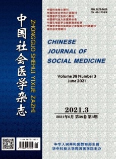 中国社会医学论文