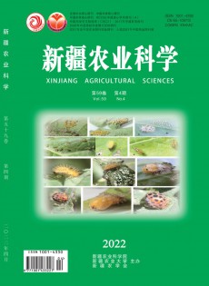 新疆农业科学杂志