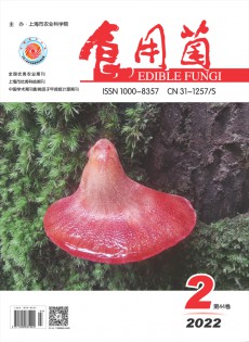 食用菌杂志