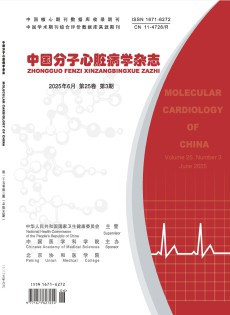 中国分子心脏病学杂志