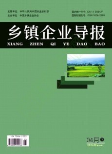 乡镇企业导报杂志
